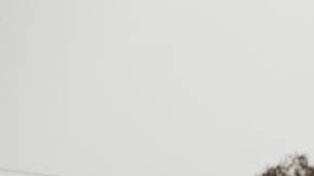 Photo: Unsplash/@jonathanborba