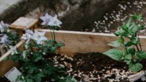 Photo: Unsplash/@kellysikkema