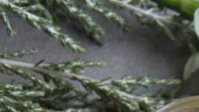 Photo: Unsplash/@meguminachev