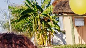 Photo: Unsplash/@mohaumannathoko