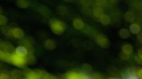 optimistic kid with mom