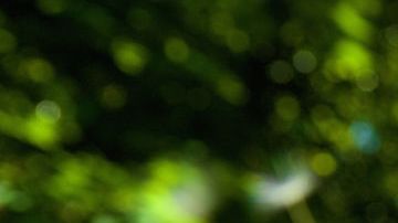 optimistic kid with mom