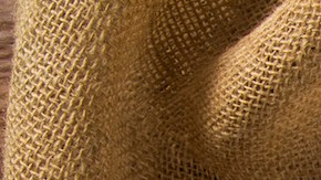 Short ribs HipLatina Recipe