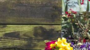 Photo: Unsplash/@brett_jordan