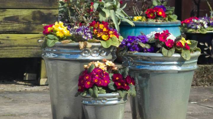 Photo: Unsplash/@brett_jordan