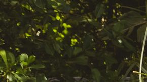 Why Your Kids Should Read Banned Books HipLatina