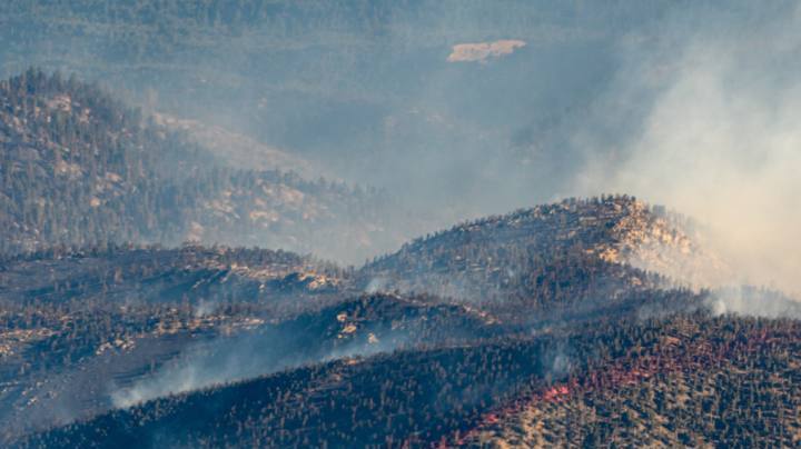 Photo: Unsplash/@patrickcampanale