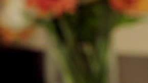 Spicy Oils HipLatina