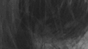 Guerrilla Mama Image 2 Blog 1 HipLatina