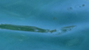 Lola's POV Bucket Lists HipLatina