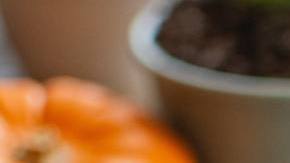 Photo: Unsplash/@starvingartistfoodphotography