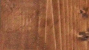 Photo: Unsplash/@element5digital