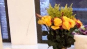 How to Brunch Like J.Lo HipLatina