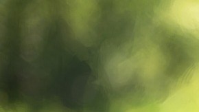 Tu patio y jardín son una fuente de constante inspiración HipLatina