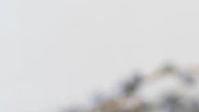 Photo: Unsplash/@yunweimeng