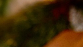 Rompopo Hondureño (Honduran-Style “Eggnog”) HipLatina