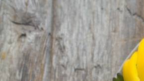 Photo: Unsplash/@annapelzer