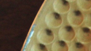 Noche Buena Bacalao a la Vizcaína with Potatoes, Nopales and Mole HipLatina