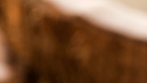 Peruvian cocadas HipLatina