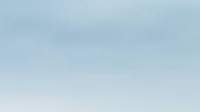 Photo: Unsplash/@dilolwa