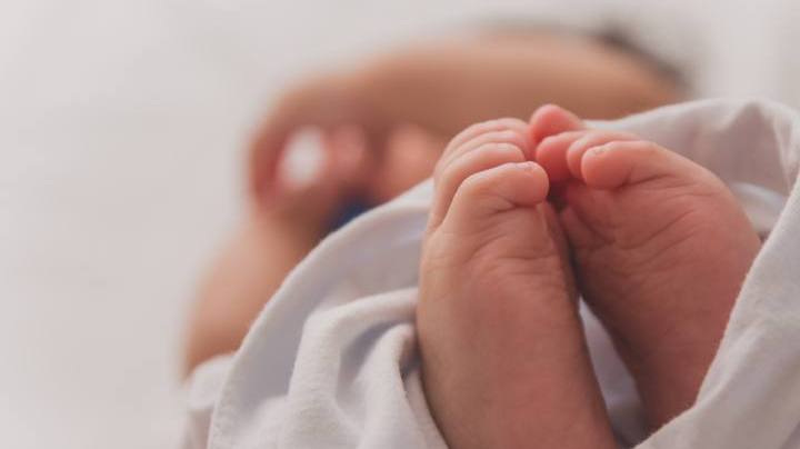 Photo: Unsplash/@lumapimentel