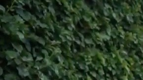 Why Travel to Luxembourg HipLatina