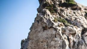 Photo: Unsplash/@patryksobczak