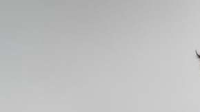 Photo: Unsplash/@dane_aw