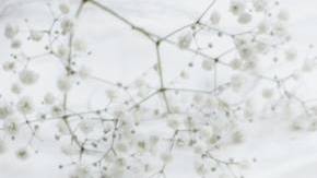 Photo: Unsplash/@heftiba