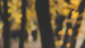 Photo: Unsplash/@elashv