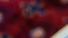 Vegan in Dubai HipLatina