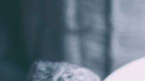 Photo: Unsplash/@worthyofelegance