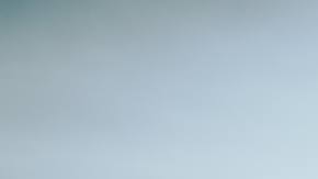 Photo: Unsplash/Chewy