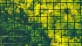 Photo: Unsplash/@lordmaui