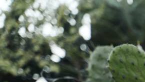 Photo: Unsplash/@diegonacho