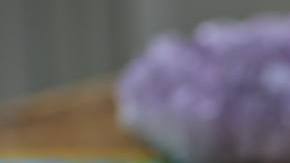 Photo: Unsplash/@kaylamaurais