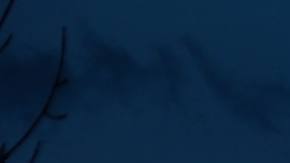 Photo: Unsplash/@vixenly