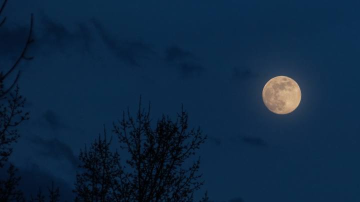 Photo: Unsplash/@vixenly