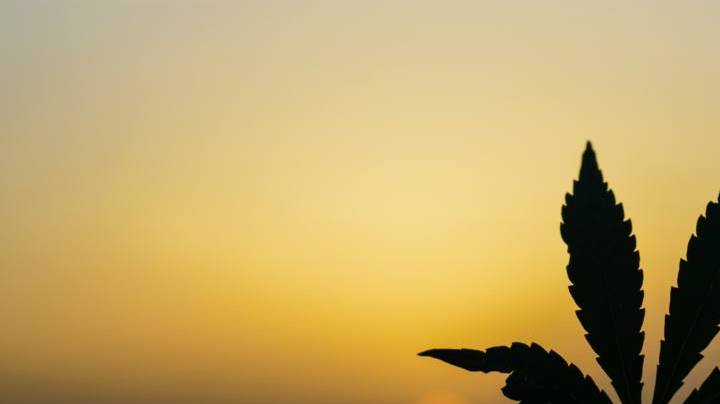 Photo: Unsplash/@manishpanghal