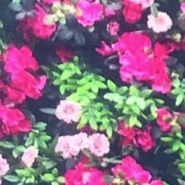 Monica Style Muse HipLatina