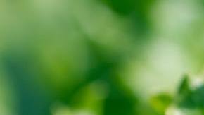 Photo: Unsplash/petra cigale