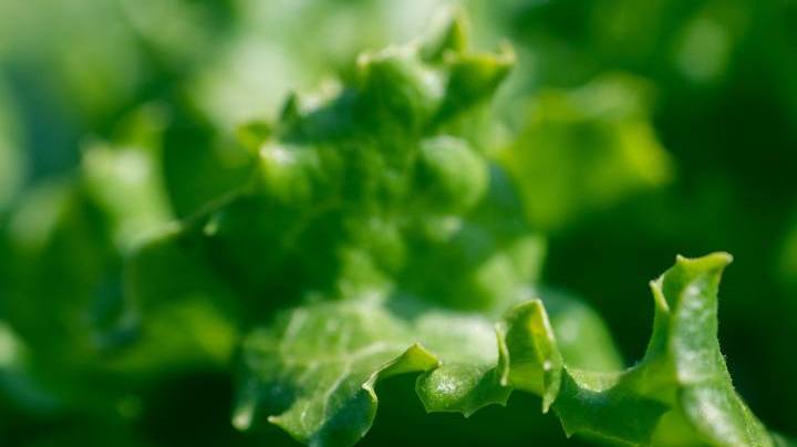 Photo: Unsplash/petra cigale