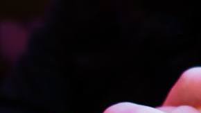 Photo: Unsplash/@robman