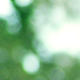 Photo: Unsplash/@thiiagocerqueira