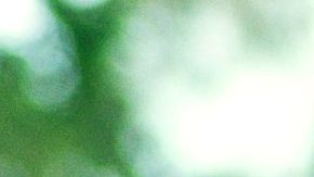 Photo: Unsplash/@thiiagocerqueira