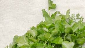 Photo: Unsplash/@surojadek