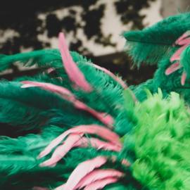 Photo: Unsplash/@ugurarpaci