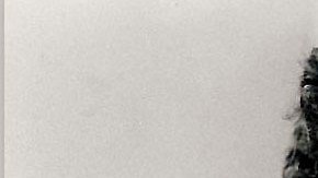 Photo: Wikimedia Commons/Mio