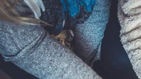 Photo: Unsplash/@johnschno