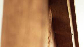 Photo: Unsplash/@josephandjosephandjoseph